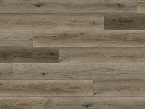 Paradigm Performer Barley 9 x 60